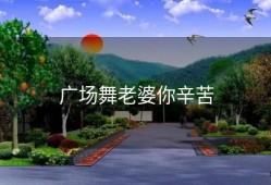 广场舞老婆你辛苦