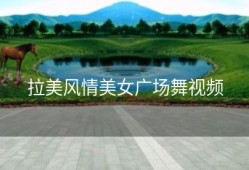 拉美风情美女广场舞视频