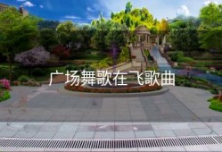 广场舞歌在飞歌曲