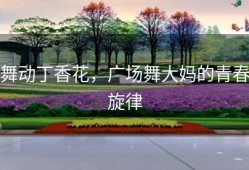 舞动丁香花，广场舞大妈的青春旋律