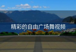 精彩的自由广场舞视频