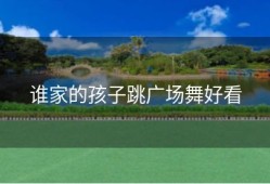 谁家的孩子跳广场舞好看