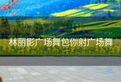 林丽影广场舞包你射广场舞
