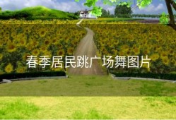 春季居民跳广场舞图片