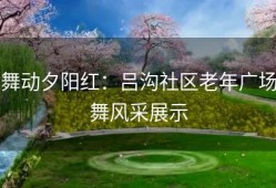 舞动夕阳红：吕沟社区老年广场舞风采展示