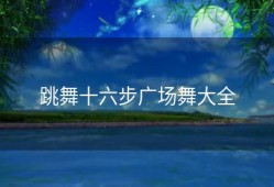 跳舞十六步广场舞大全