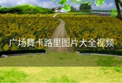 广场舞卡路里图片大全视频