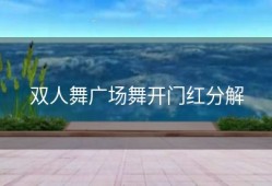 双人舞广场舞开门红分解