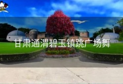 甘肃通渭碧玉镇跳广场舞