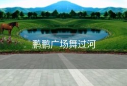 鹏鹏广场舞过河