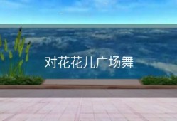 对花花儿广场舞