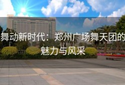舞动新时代：郑州广场舞天团的魅力与风采