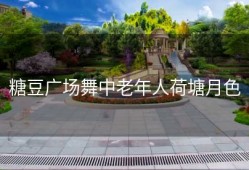 糖豆广场舞中老年人荷塘月色