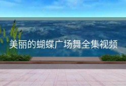 美丽的蝴蝶广场舞全集视频
