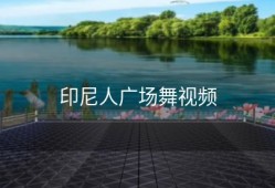 印尼人广场舞视频