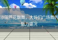 沙田芦花飘舞，大妈们广场舞的魅力盛况