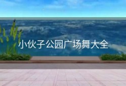 小伙子公园广场舞大全