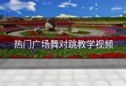 热门广场舞对跳教学视频