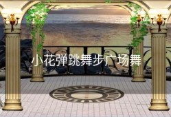 小花弹跳舞步广场舞