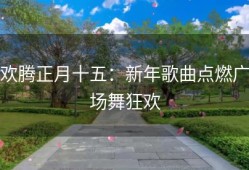 欢腾正月十五：新年歌曲点燃广场舞狂欢