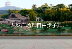 九妹广场舞自由步子舞