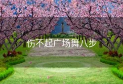 伤不起广场舞八步