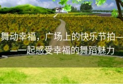 舞动幸福，广场上的快乐节拍——一起感受幸福的舞蹈魅力