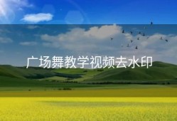 广场舞教学视频去水印