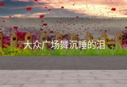 大众广场舞沉睡的泪