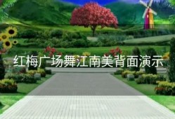 红梅广场舞江南美背面演示