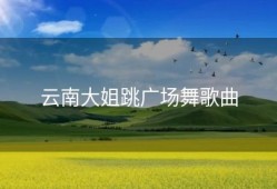 云南大姐跳广场舞歌曲