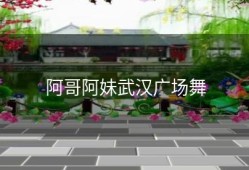 阿哥阿妹武汉广场舞