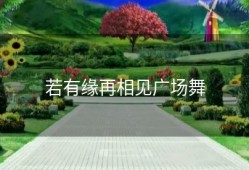若有缘再相见广场舞
