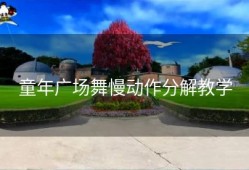 童年广场舞慢动作分解教学