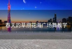 春天的草原花海广场舞教学