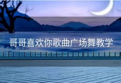 哥哥喜欢你歌曲广场舞教学