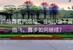 广场舞者的烦恼：音响U盘不翼而飞，舞步如何继续？