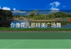 你像花儿那样美广场舞