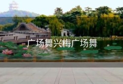 广场舞兴梅广场舞