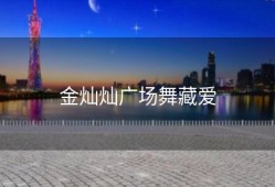 金灿灿广场舞藏爱