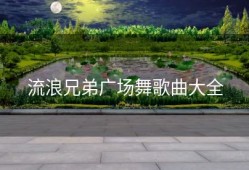 流浪兄弟广场舞歌曲大全