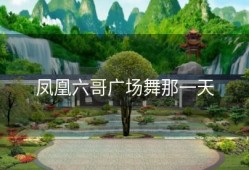 凤凰六哥广场舞那一天