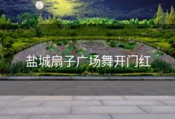 盐城扇子广场舞开门红