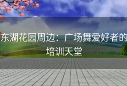 东湖花园周边：广场舞爱好者的培训天堂