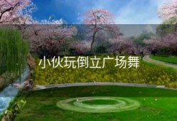 小伙玩倒立广场舞