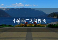 小葡萄广场舞视频