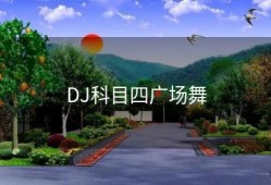 DJ科目四广场舞