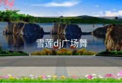 雪莲dj广场舞