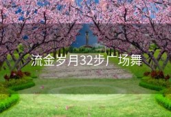 流金岁月32步广场舞