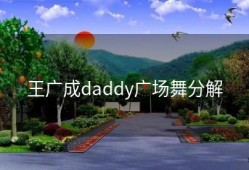 王广成daddy广场舞分解
